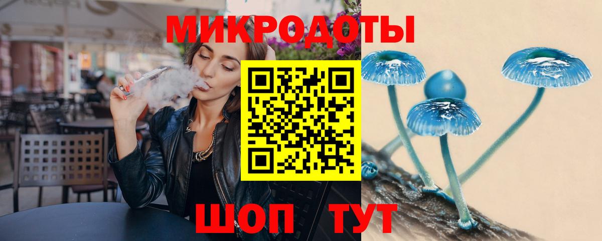 Псилоцибиновые грибы Psilocybe Заинск